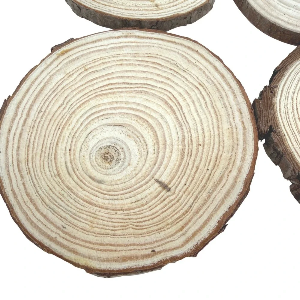12pc Natural Pine Wood Slices 2.5-3.5 inch Unfinished Round Bark Tree Discs DIY